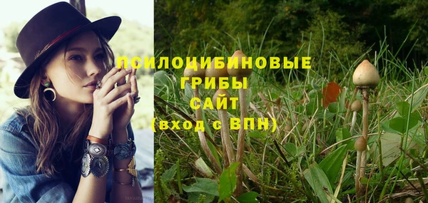 метадон Абдулино