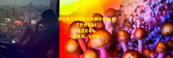 spice Абинск