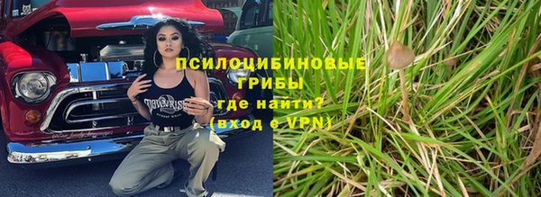 spice Абинск