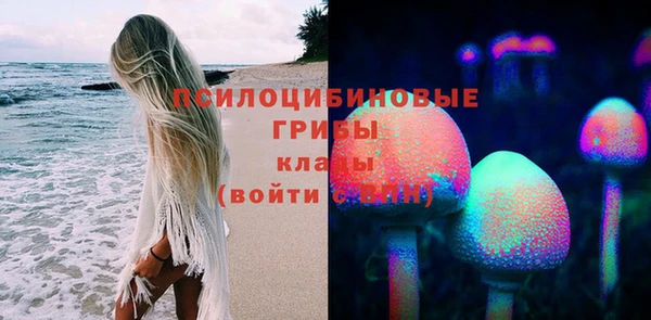 СК Абаза