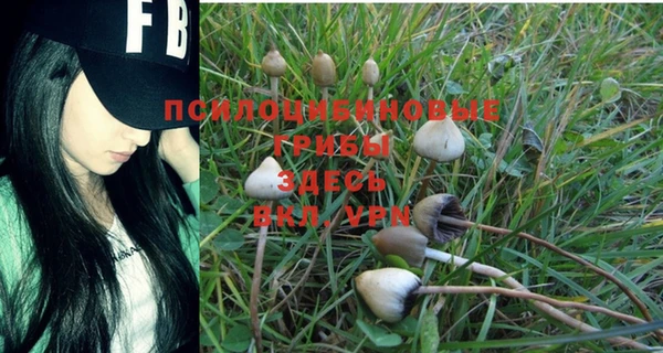 метадон Абдулино