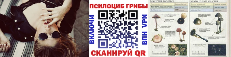 Галлюциногенные грибы прущие грибы  продажа наркотиков  Южа 